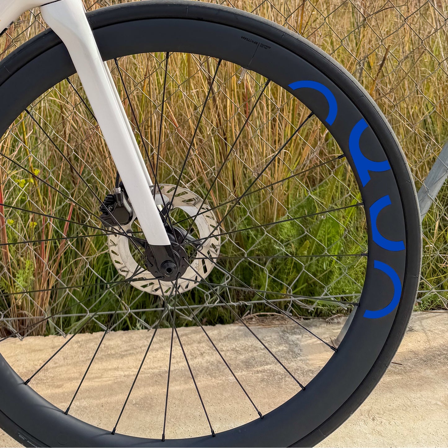 OQUO RP45TEAM - INDIGO