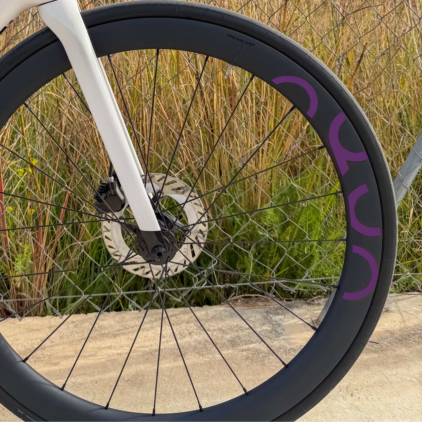 OQUO RP45TEAM - ROXO