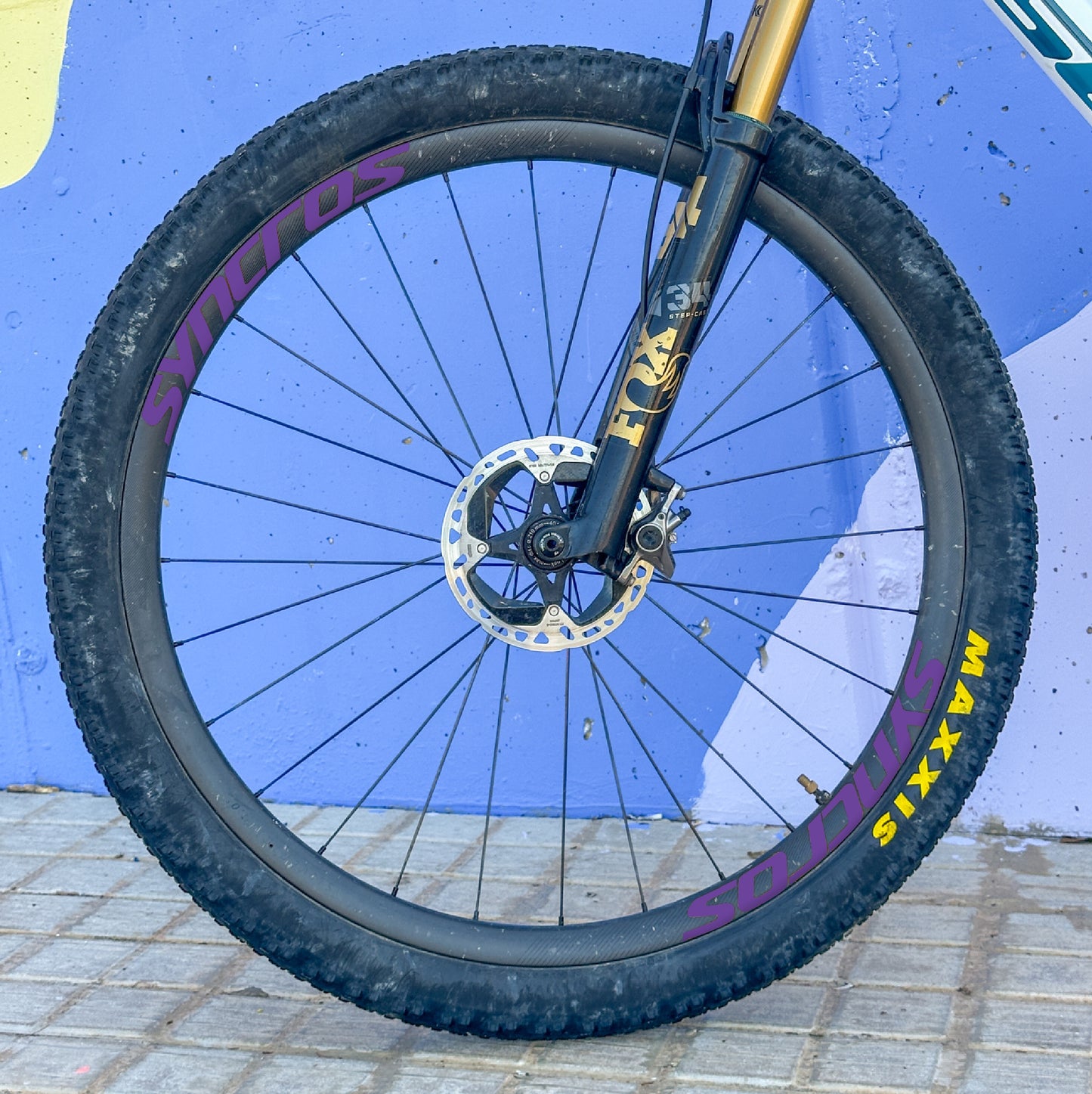 SILVERTON 1.0 1.0S SL - VIOLETA