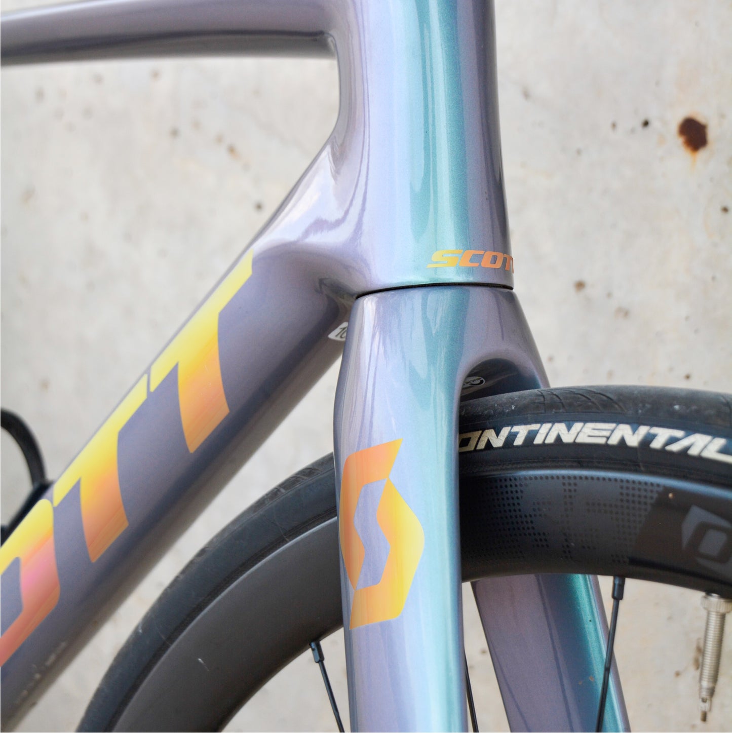 SCOTT - AURORA HOLOGRÁFICO