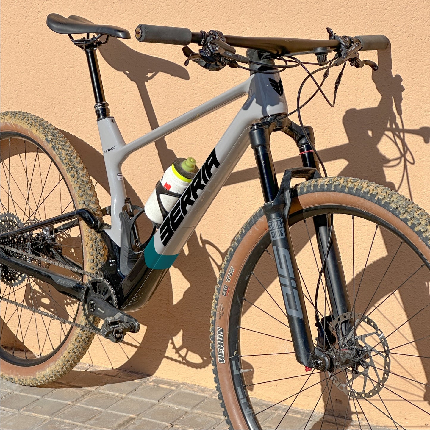 FRANJA MAKO 2025 - LAGUNA