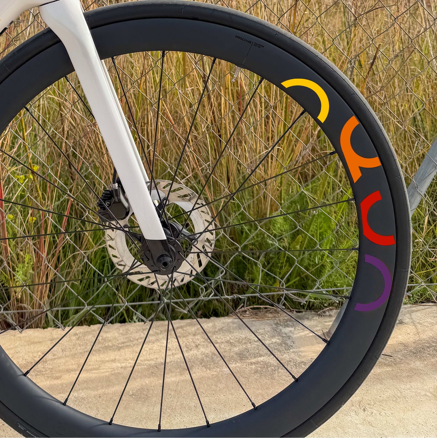 OQUO RP45TEAM - DYNAMICRON
