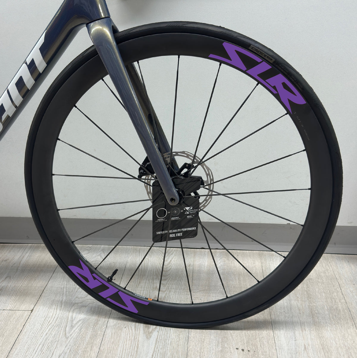 SLR0 | 40 - VIOLETA