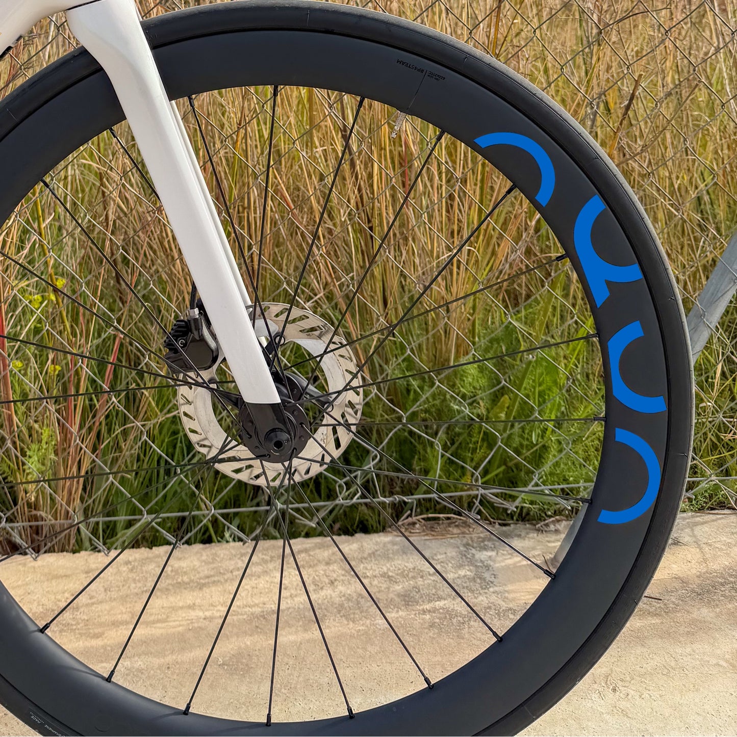 OQUO RP45TEAM - BLUE