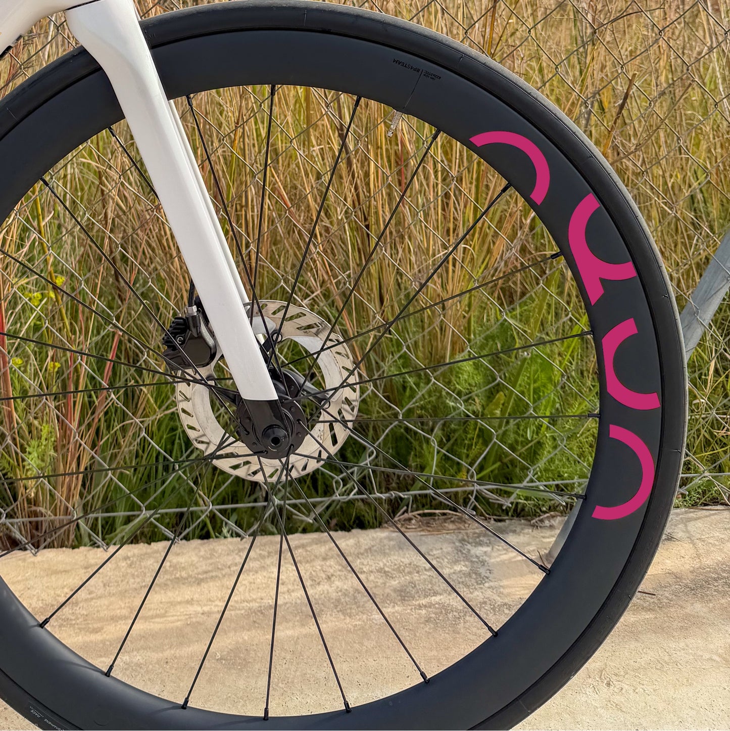 OQUO RP45TEAM - MAGENTA