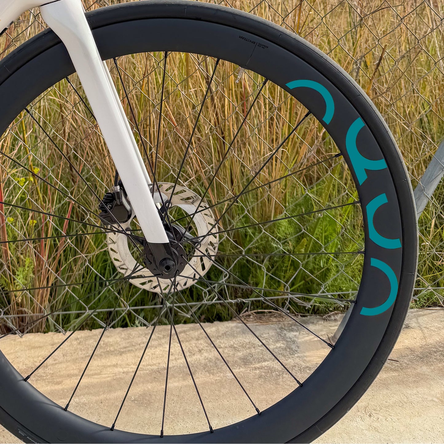 OQUO RP45TEAM - TURQUOISE