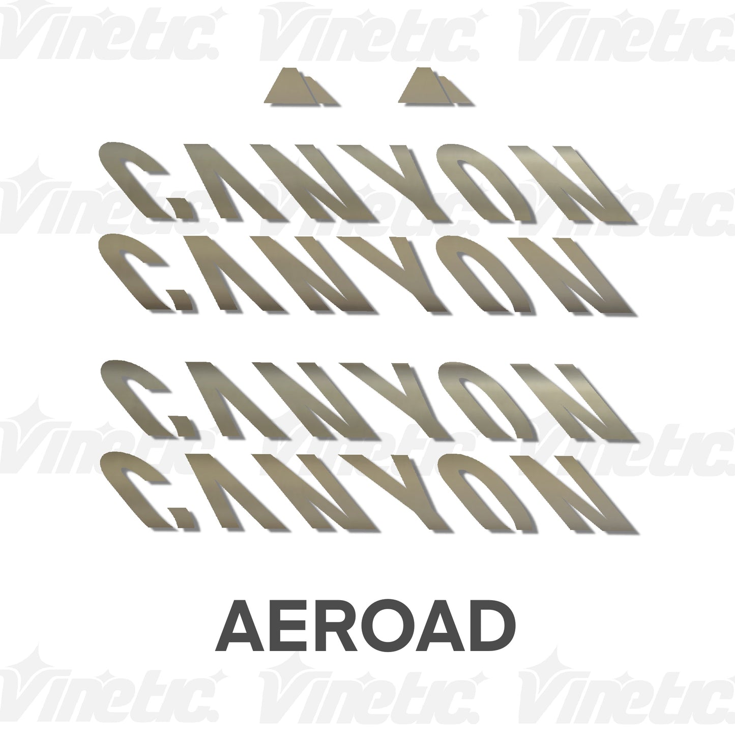 CANYON Aeroad - PLATEADO MATE