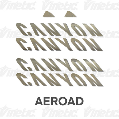 CANYON Aeroad - PLATEADO MATE