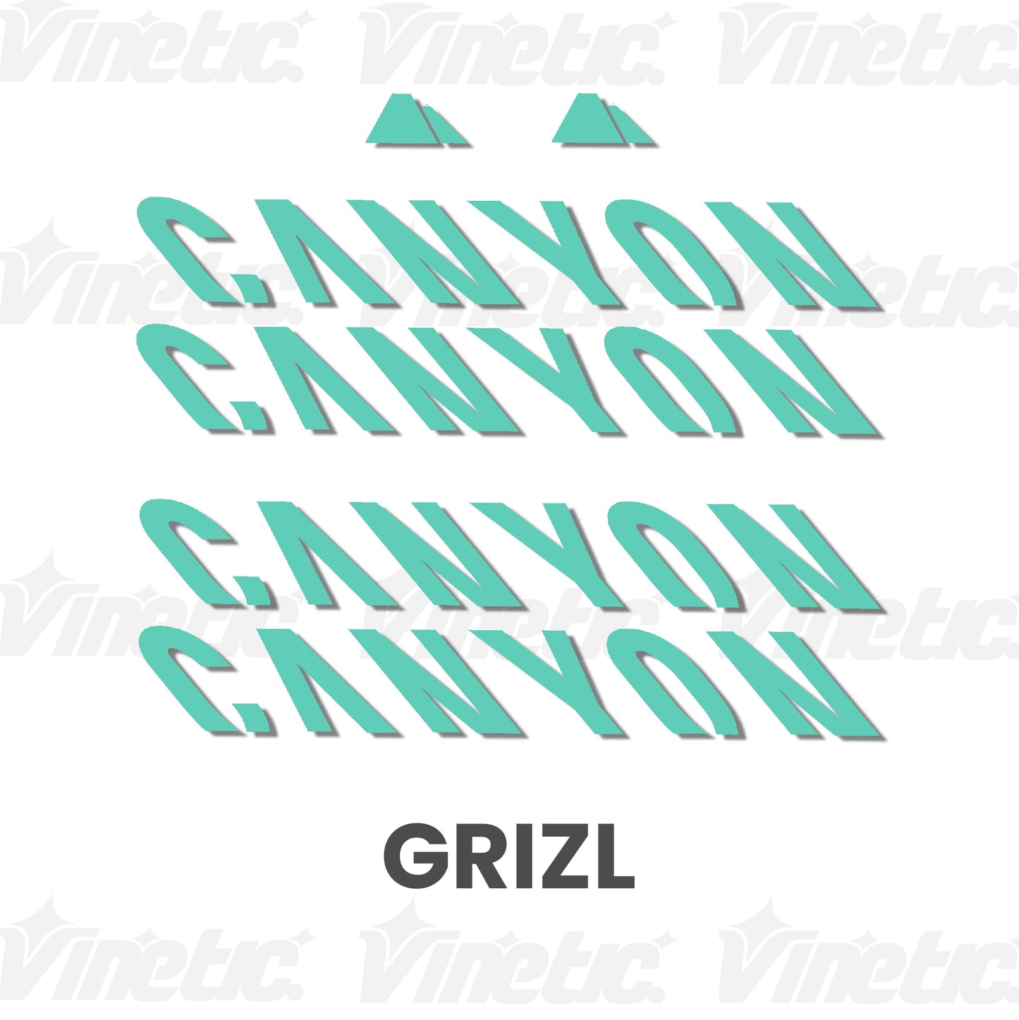 CANYON Grizl - COSTA