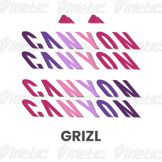 CANYON Grizl - GRAMME