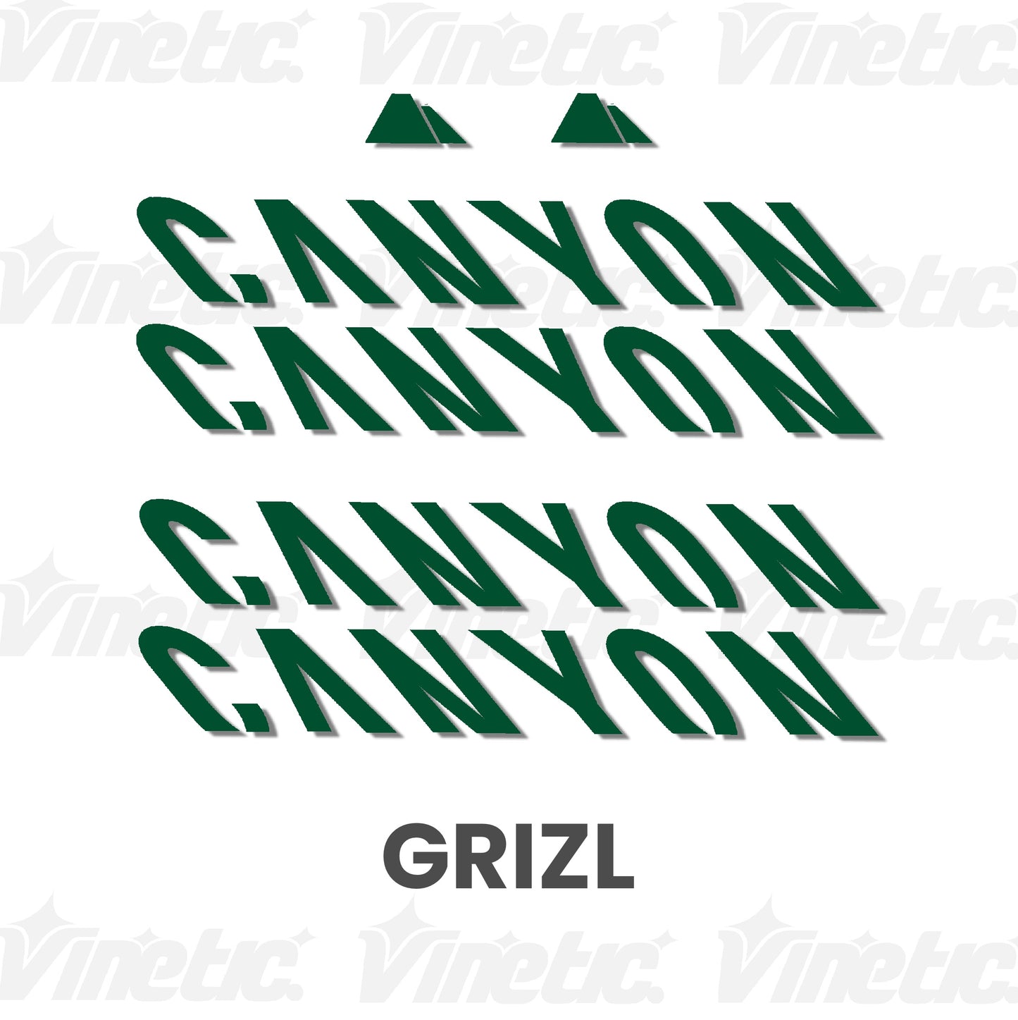 CANYON Grizl - ERBA