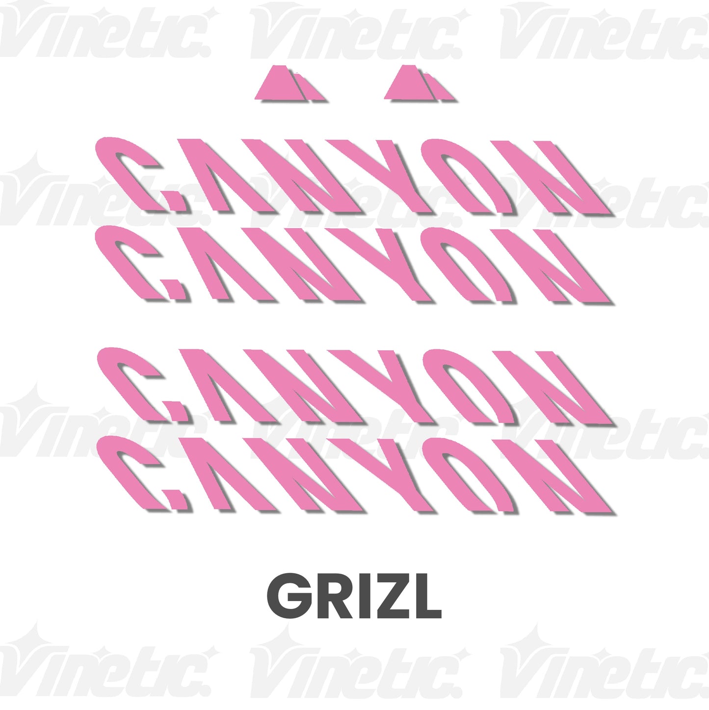 CANYON Grizl - ROSA