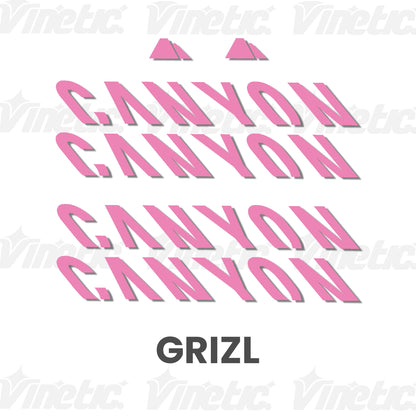 CANYON Grizl - ROSA