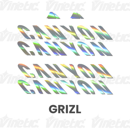 CANYON Grizl - SILBER IRISIEREND HOLOGRAFISCH