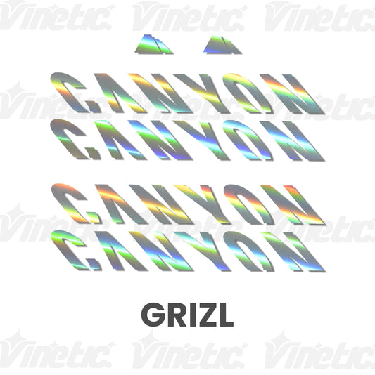 CANYON Grizl - IRISEREND ZILVER HOLOGRAFISCH