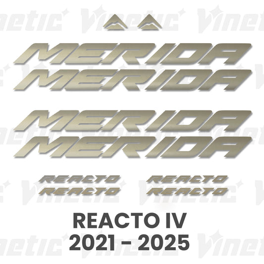 MERIDA REACTO IV - ZILVER MAT