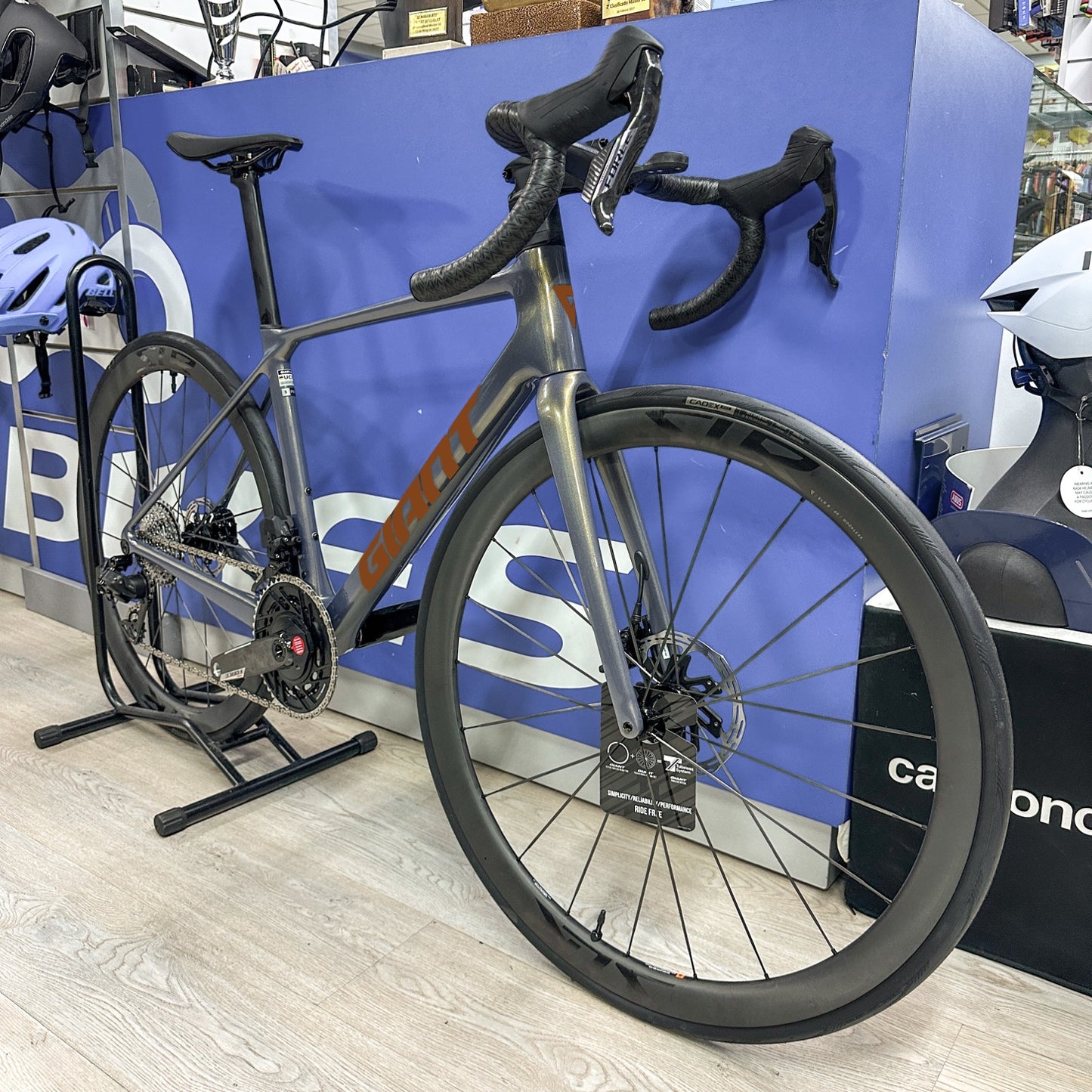 GIANT TCR 25-26 - CHOCOLATE