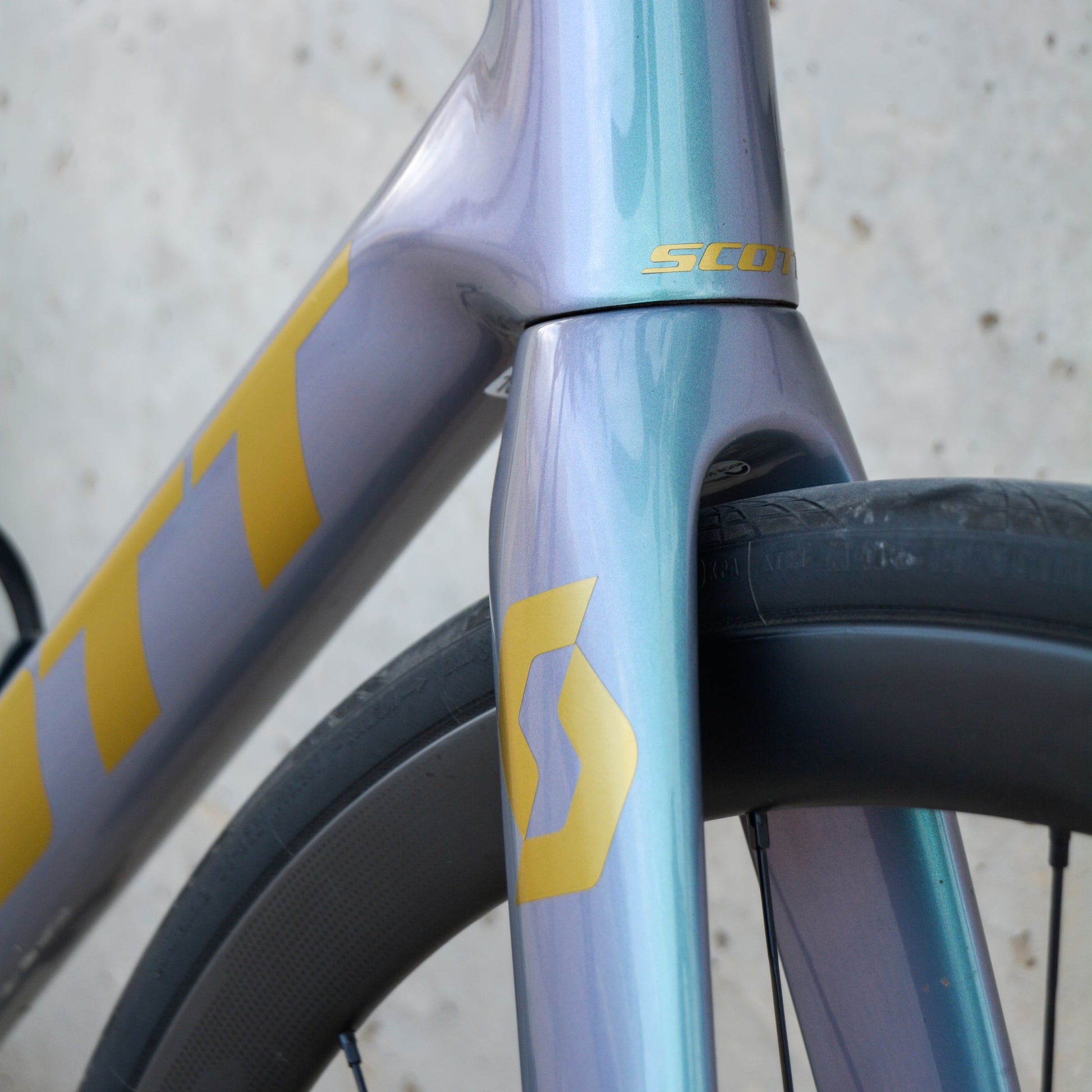 scott rennrad gelb ADHESIVOS SCOTT