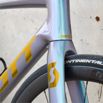 SCOTT - DORADO ESPEJO