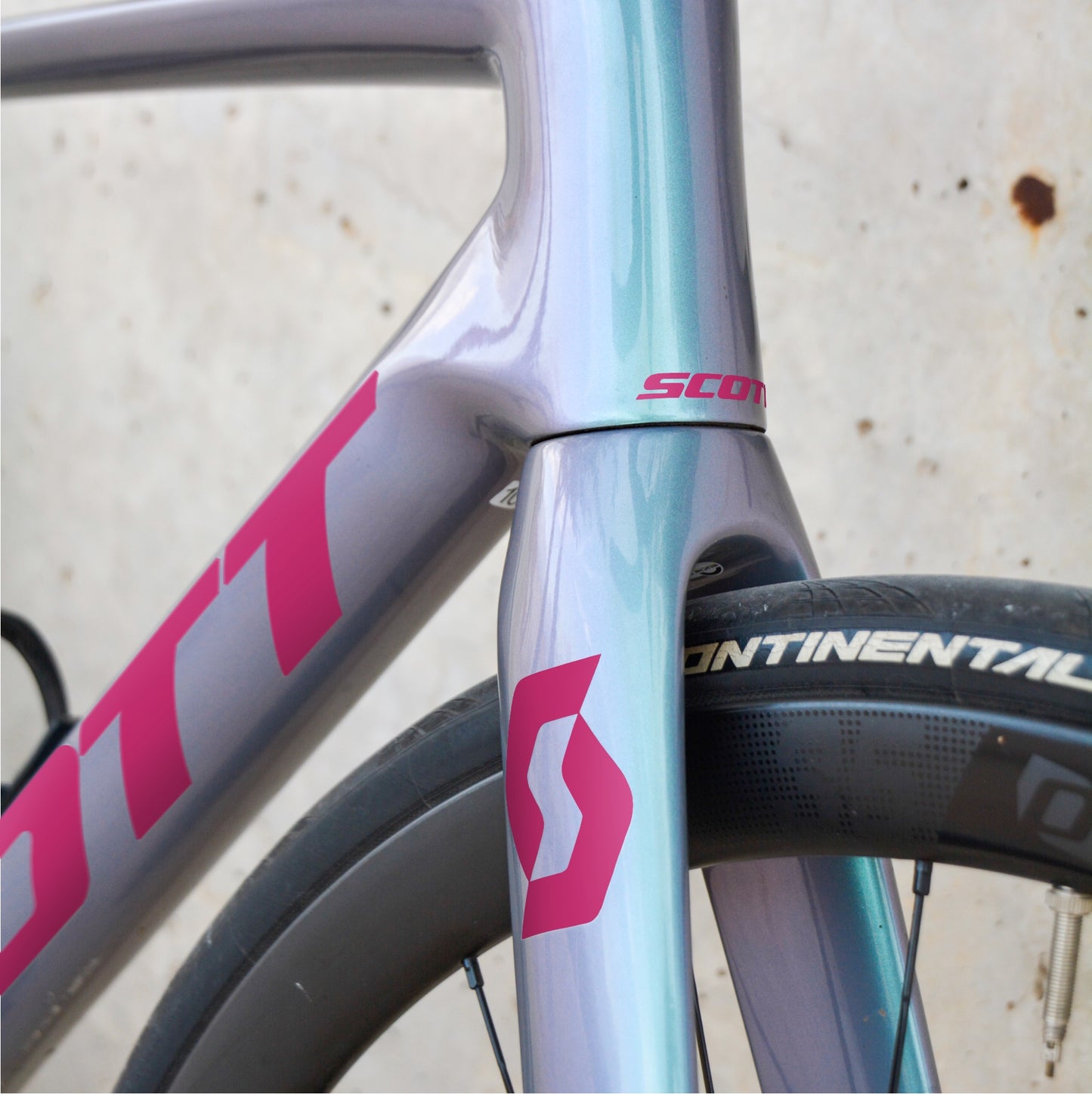 SCOTT - MAGENTA