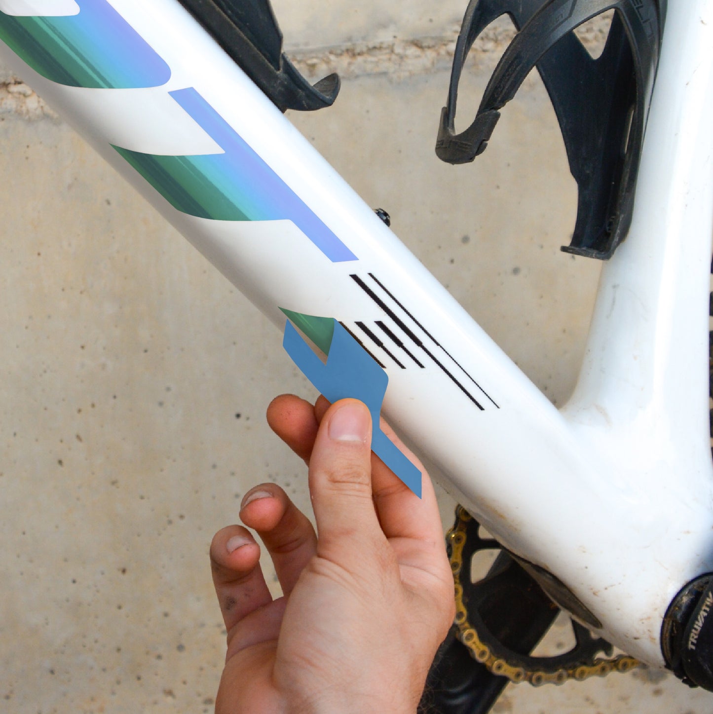 SCOTT - MARINA HOLOGRÁFICO