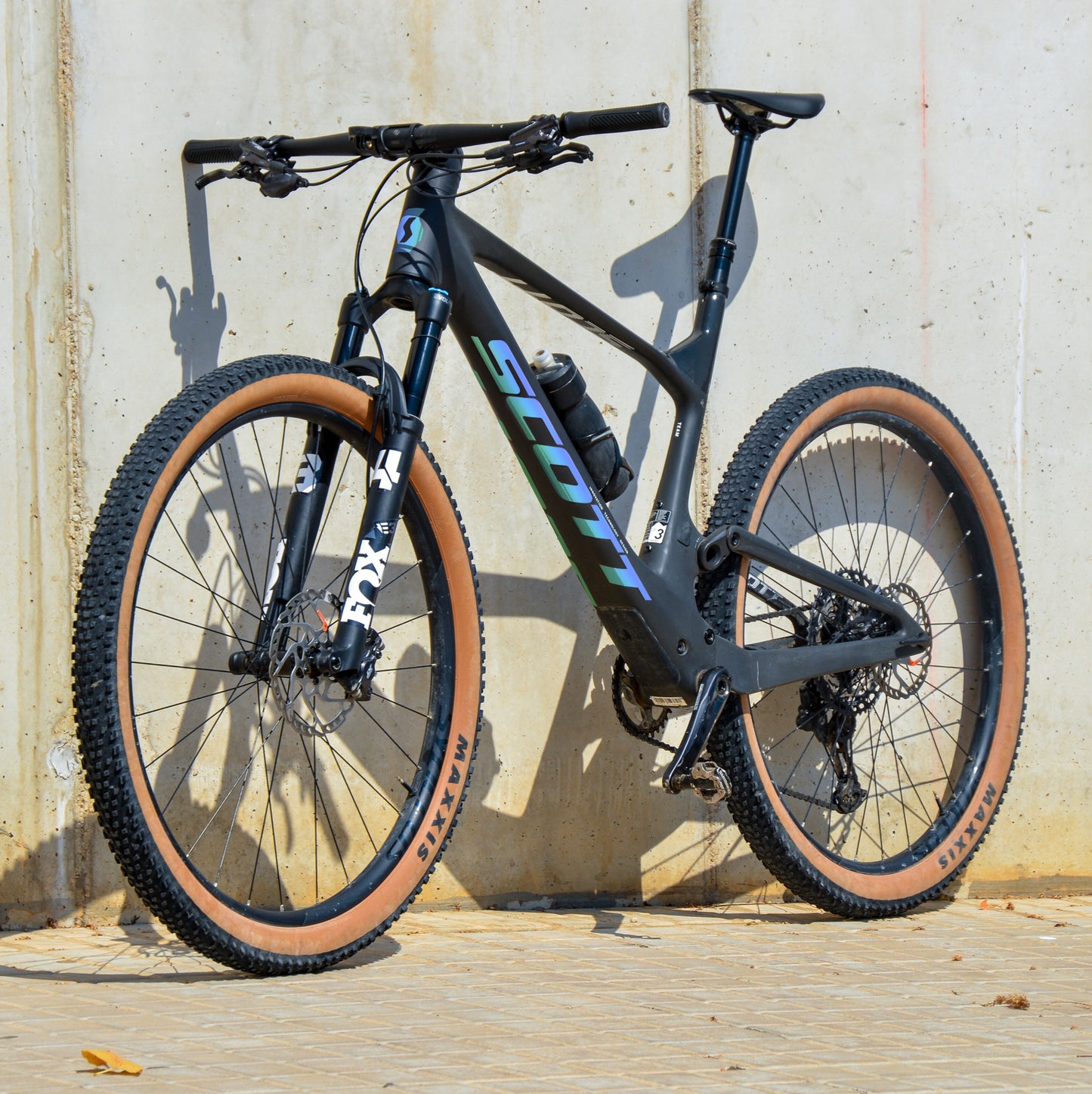 SCOTT - MARINA HOLOGRÁFICO