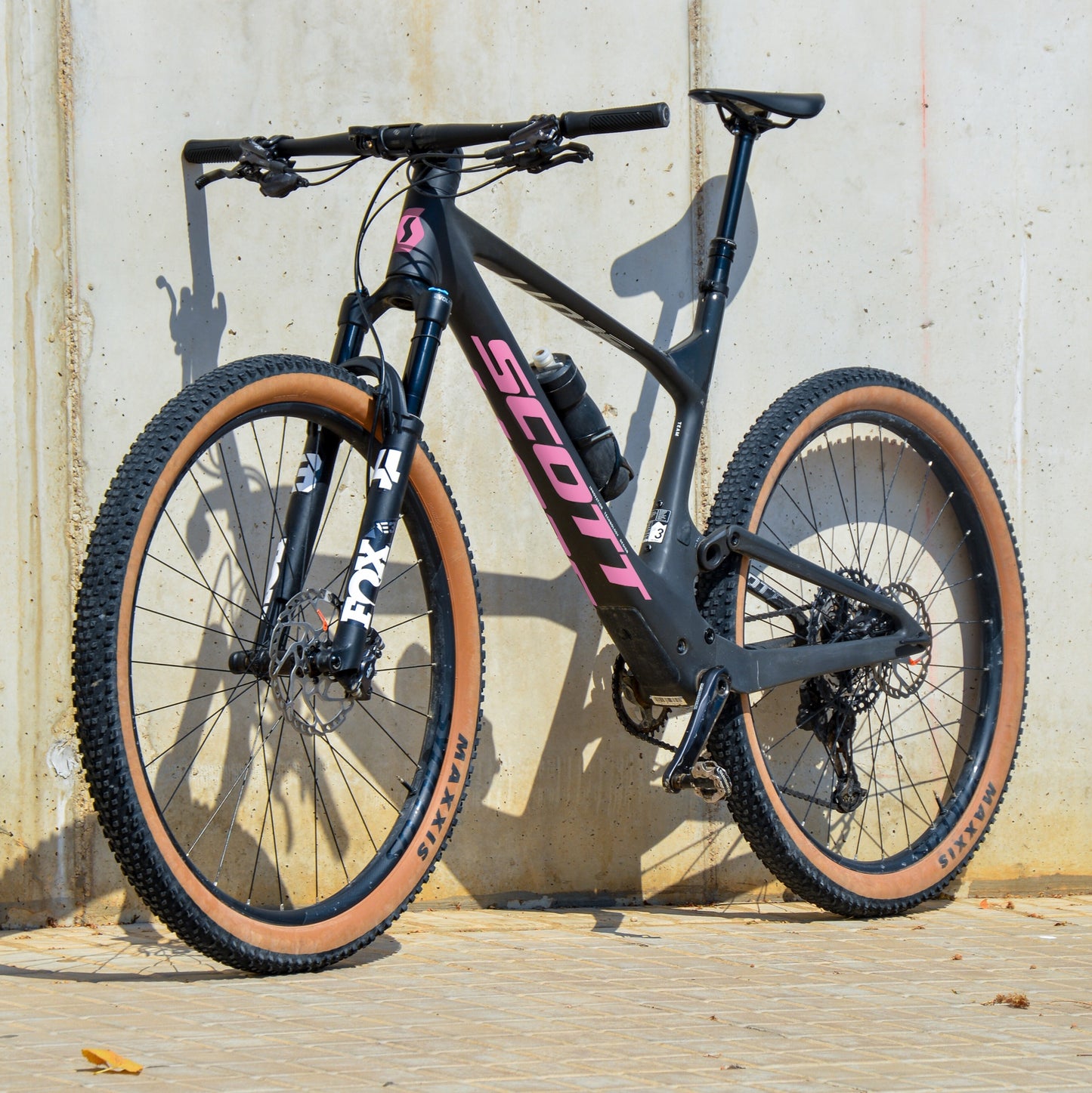 SCOTT - ROSA