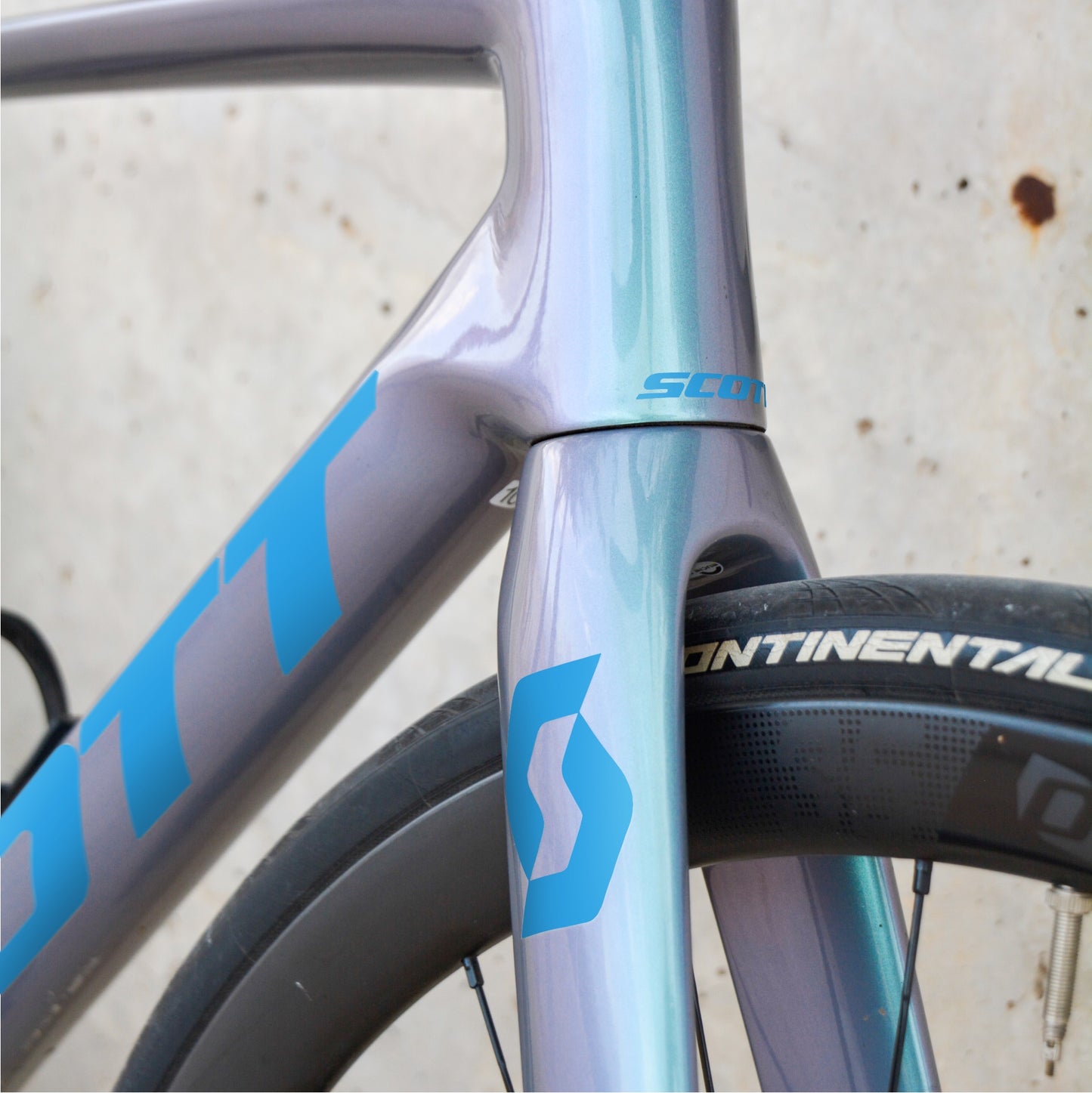 SCOTT - LAPISLÁZULI