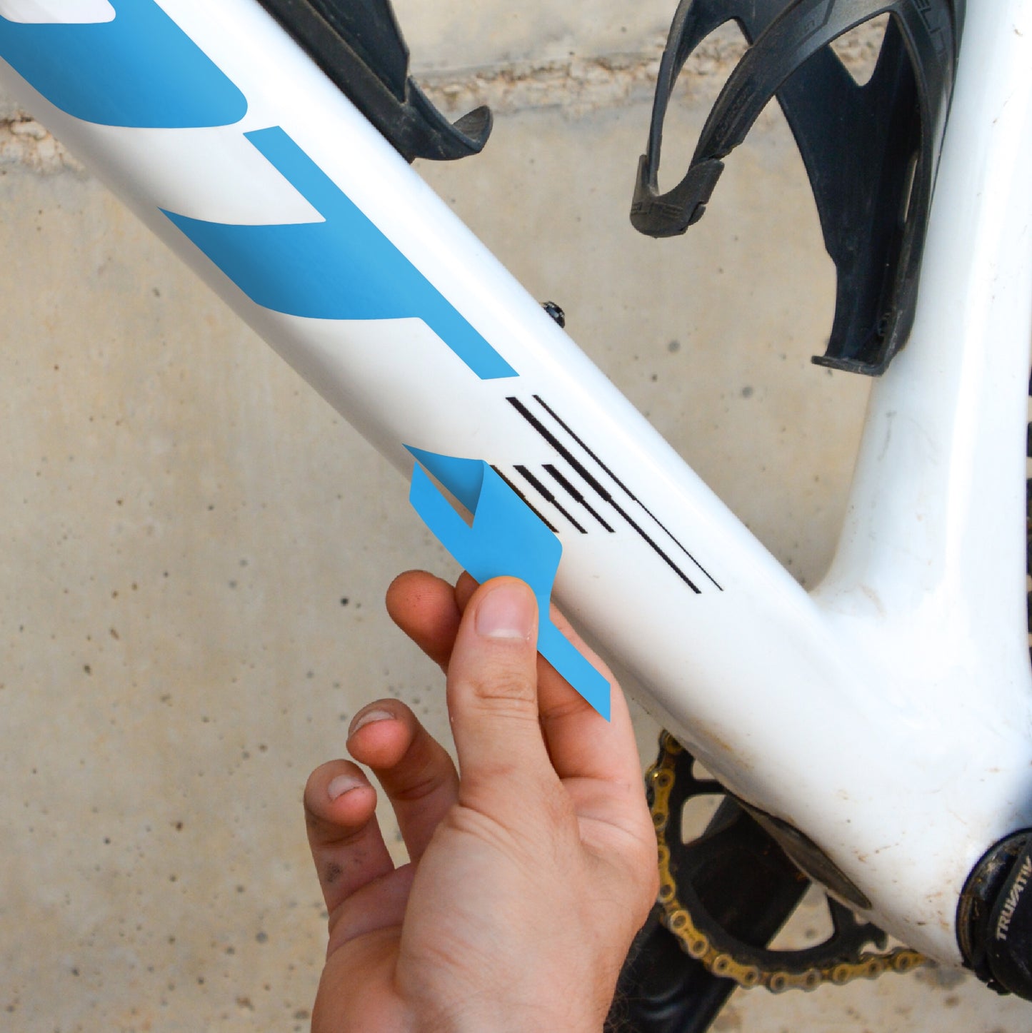 SCOTT - LAPISLÁZULI