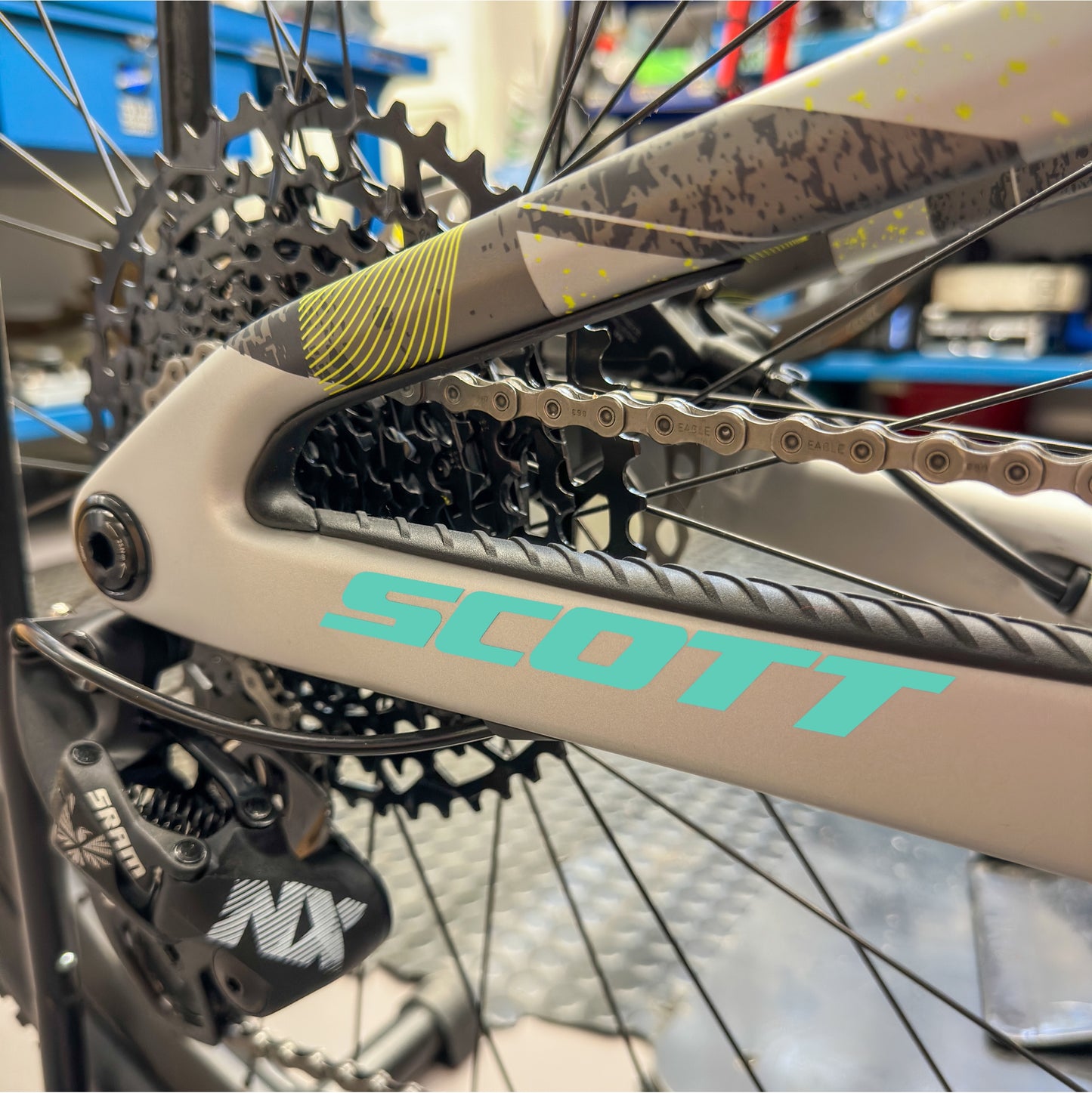 ACCESSORI SPARK 2025 - COSTA