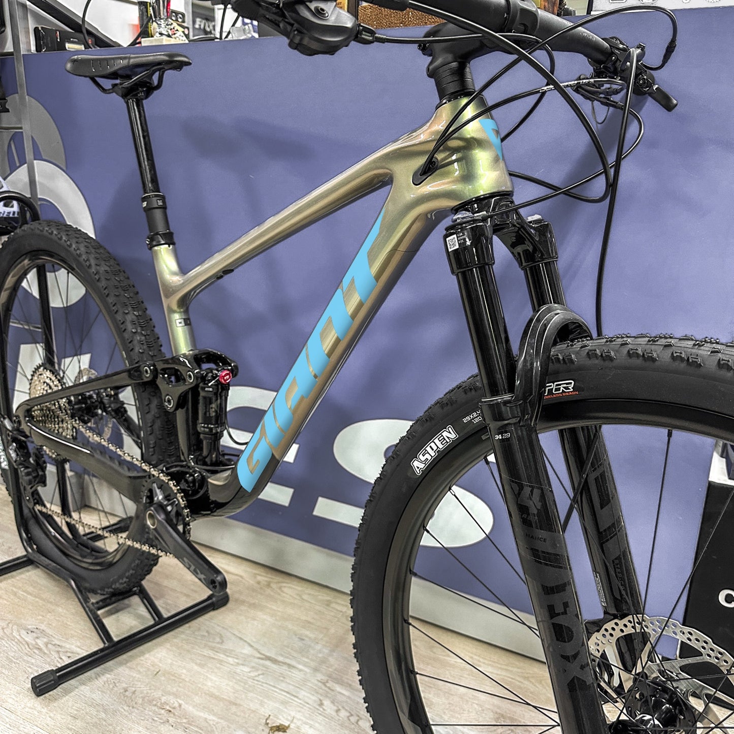 GIANT ANTHEM 24-25 - CELESTE