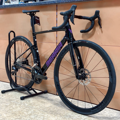 BERRIA BELADOR 2025/2026 - VIOLETA