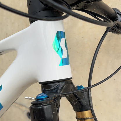 Scott video marina holografico