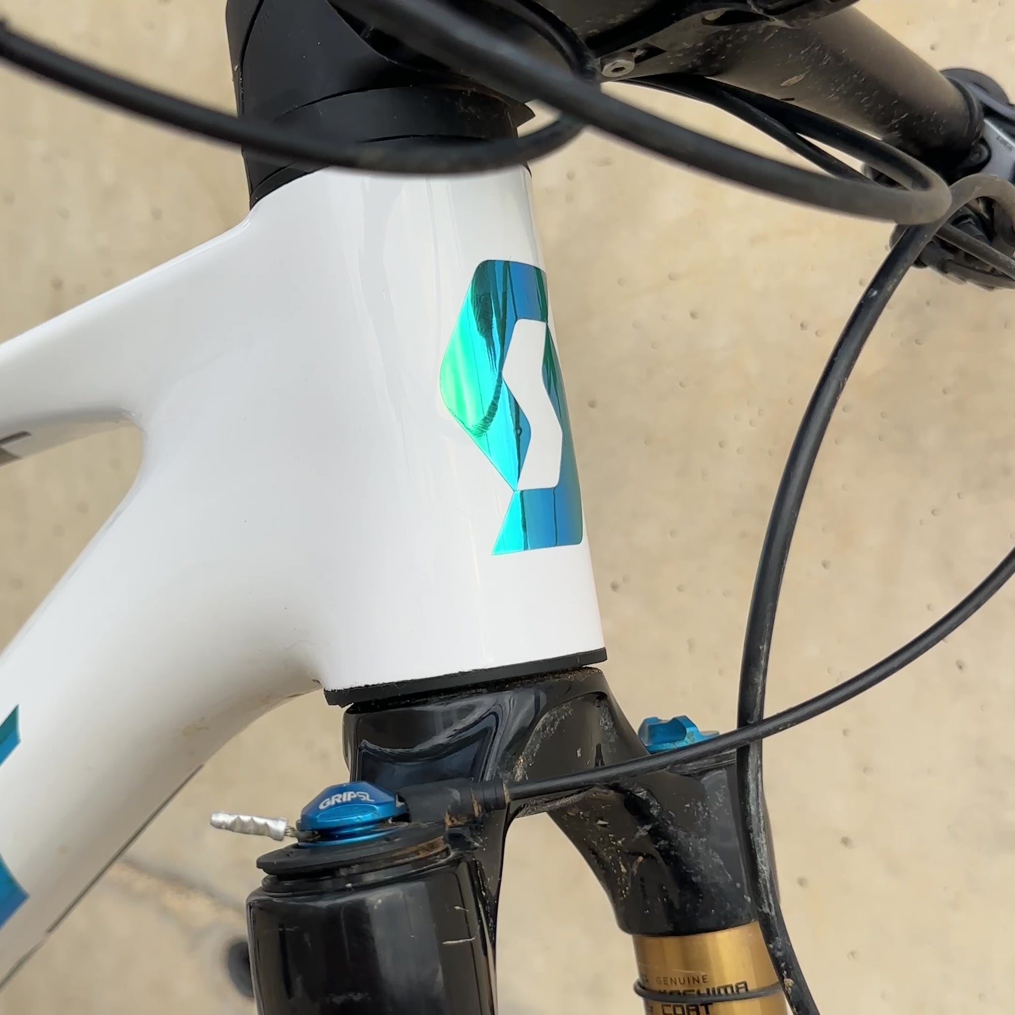 Scott video marina holografico