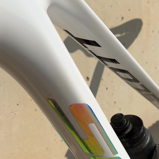 SCOTT RAINBOW VÍDEO