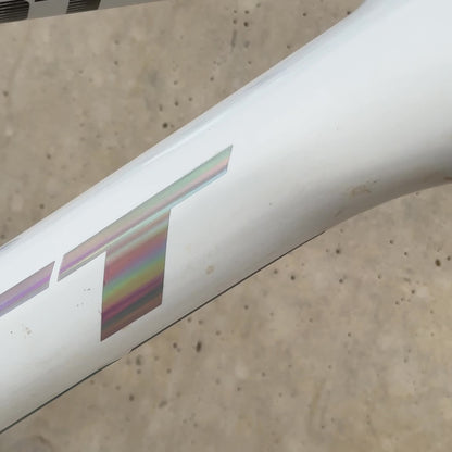 Scott plateado iridiscente holografico