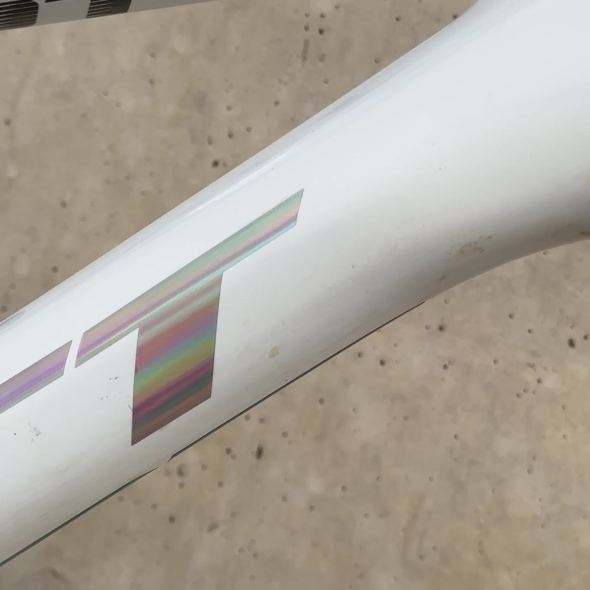 Scott plateado iridiscente holografico