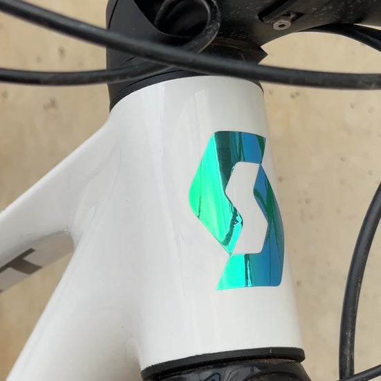 Scott video frontal marina holografico